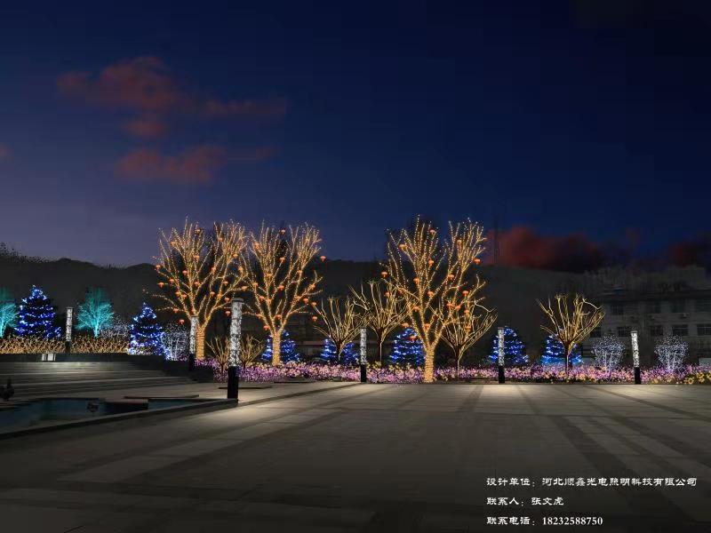 迁西县建设局节日亮化工程路灯亮化局部图