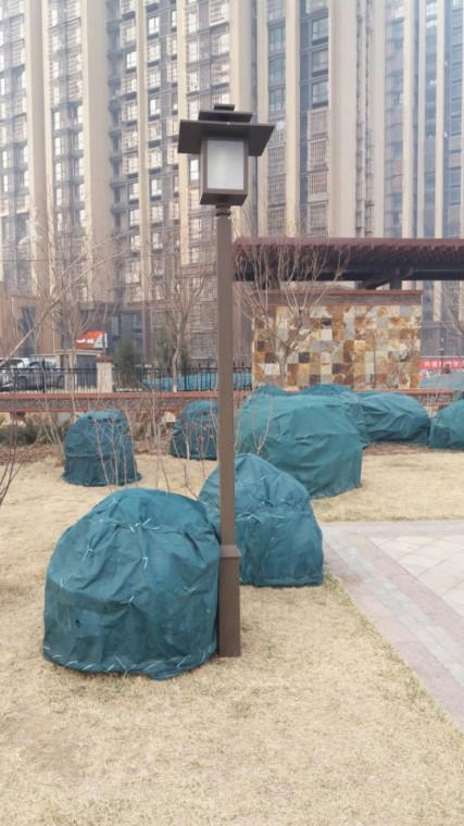 万科地产金域蓝湾园林景观照明工程图4