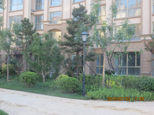 中南唐山湾园林景观照明工程图1
