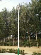 河北省乐亭县太阳能路灯工程