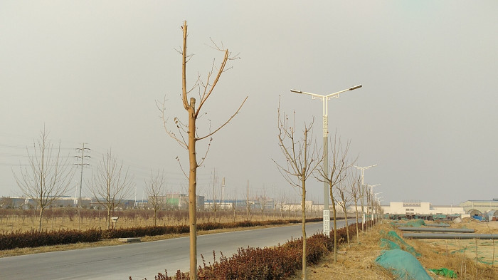 唐山万浦电厂厂区道路照明工程实拍图4