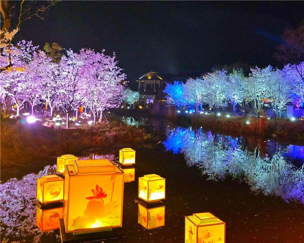 景观亮化工程实景图3