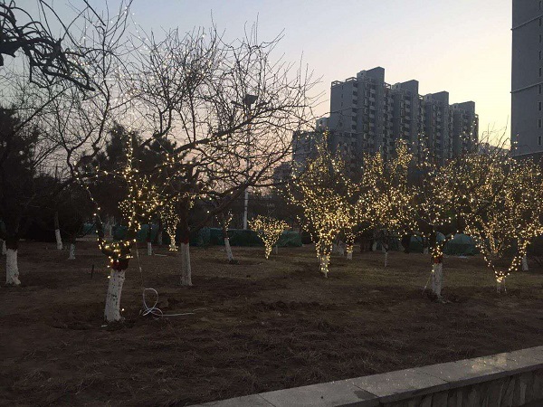2019年迁西县城区节日亮化工程