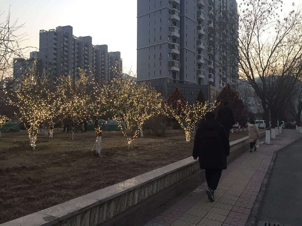 2019年迁西县城区节日亮化工程