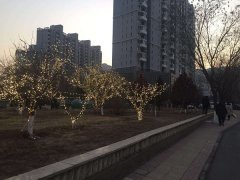 2019年迁西县城区节日亮化工程施工方案