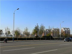 黄骅市中捷产业园区胜利路道路照明工程