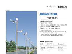 路灯2041